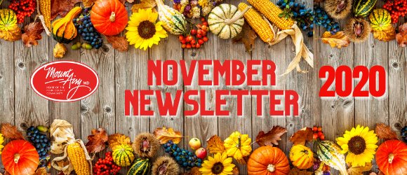 November 2020 Newsletter Header