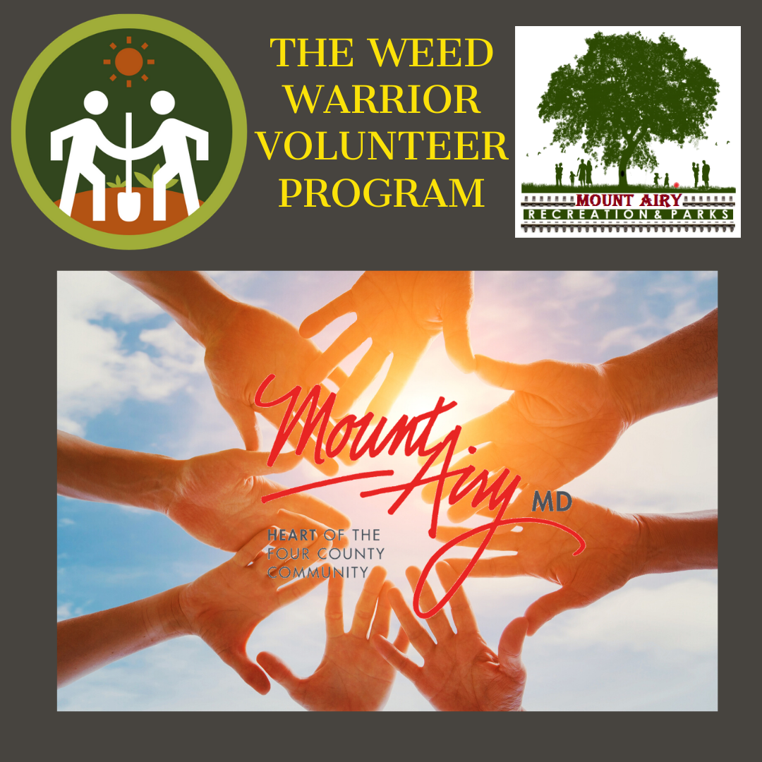 Community Giveback Program (2) Community Giveback Program (2)